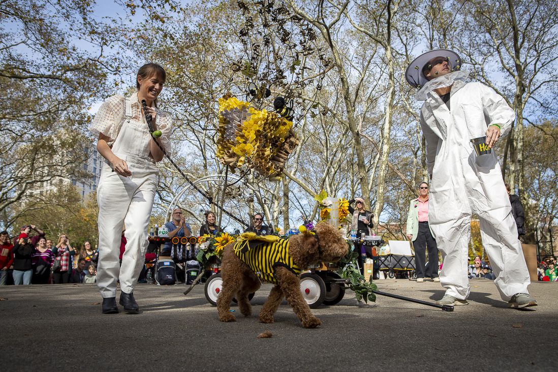 Beekeepers with dog as bee